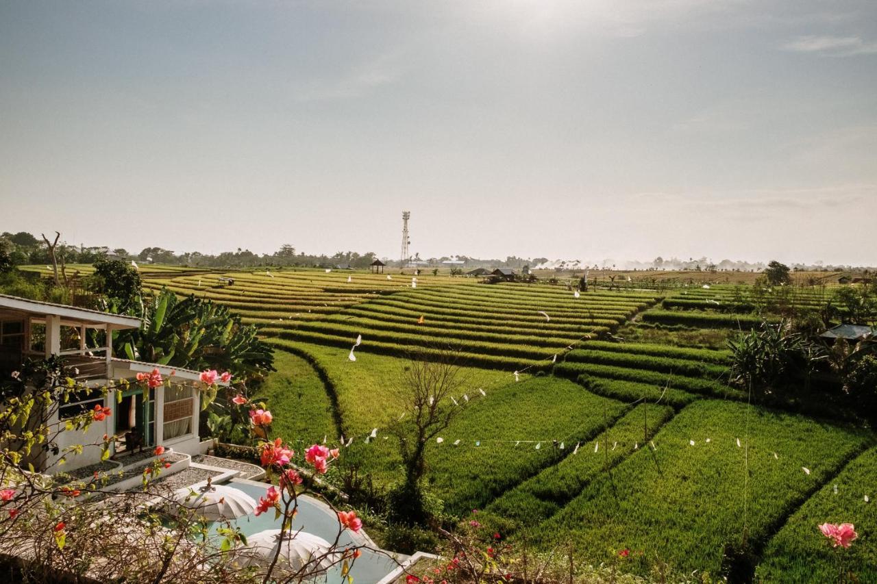 Boho Canggu Hotel Luaran gambar